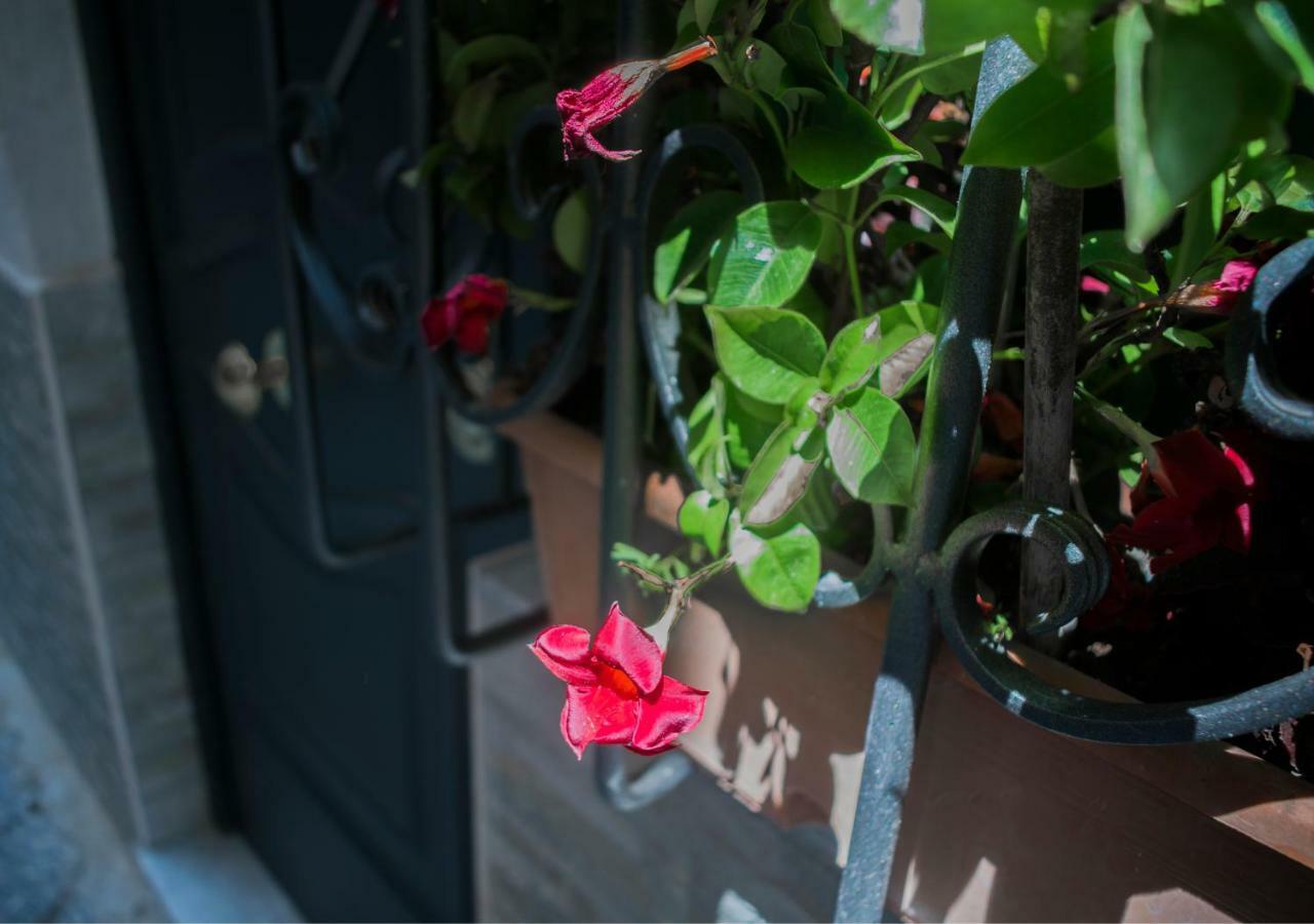 Vecchia Napoli Apt 20 Zewnętrze zdjęcie